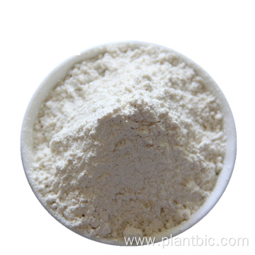 PLANTBIO Factory Supply pure deep sea hydrolyzed marine collagen fish collagen peptide powder